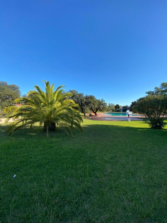 New Algarvegas Paradise Apartment Албуфейра Экстерьер фото
