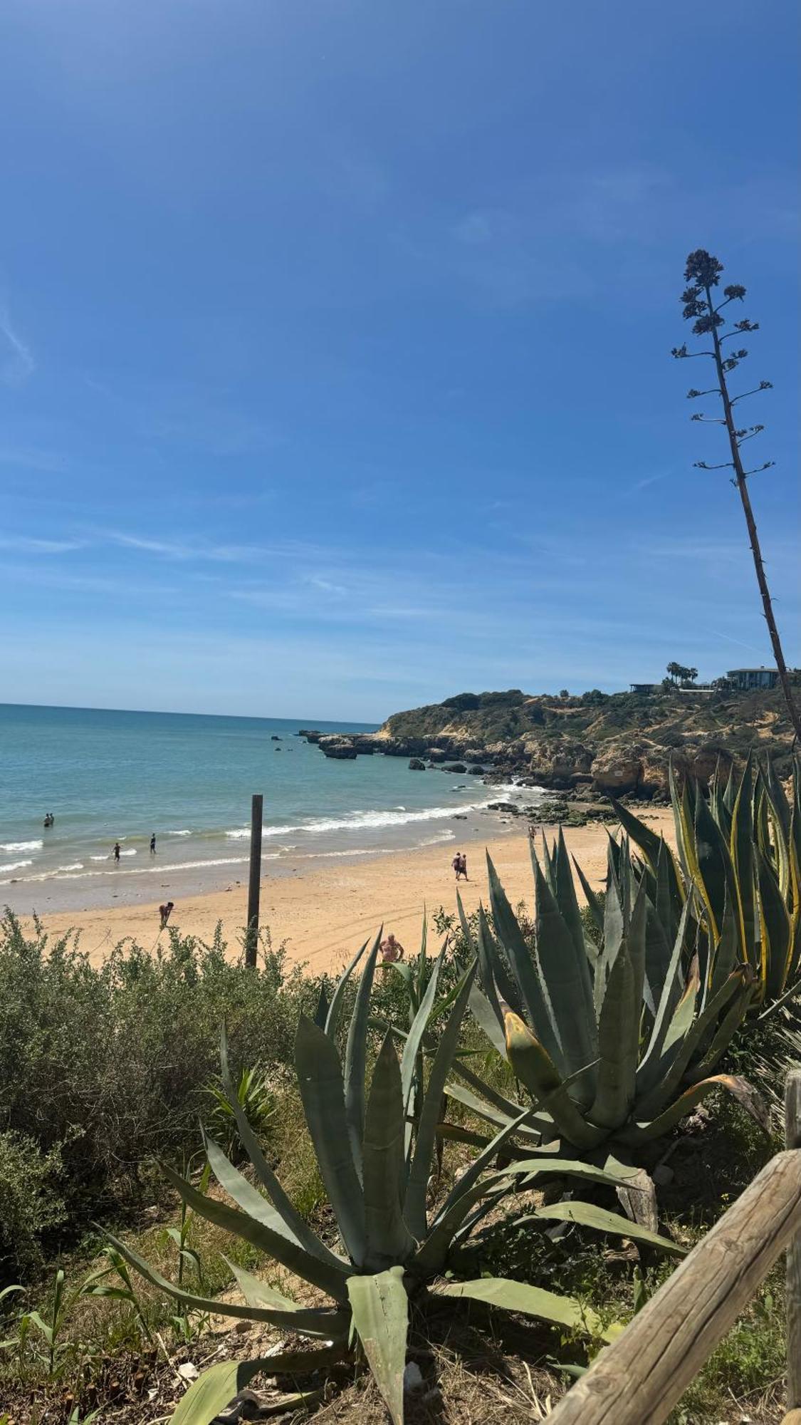 New Algarvegas Paradise Apartment Албуфейра Экстерьер фото